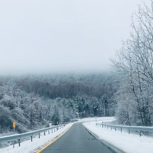 Meet your Posher, Reggie